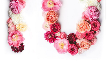 DIVI turns 1! 10k Giveaway