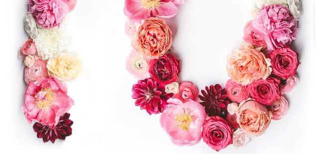 DIVI turns 1! 10k Giveaway