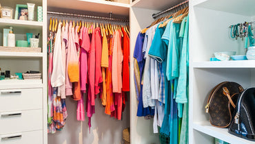 Choose DIVI's Summer Line Colors!