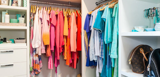 Choose DIVI's Summer Line Colors!